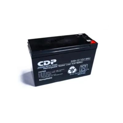 უწყვეტი კვების წყაროს UPS -ის აკუმულატორი 12V9AH L LP12-9 2.55kg